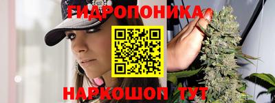 мдпв Кизляр