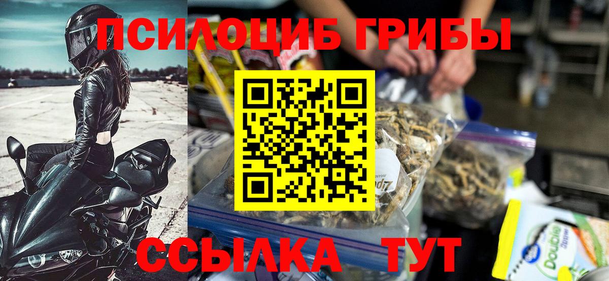 Галлюциногенные грибы прущие грибы Выборг