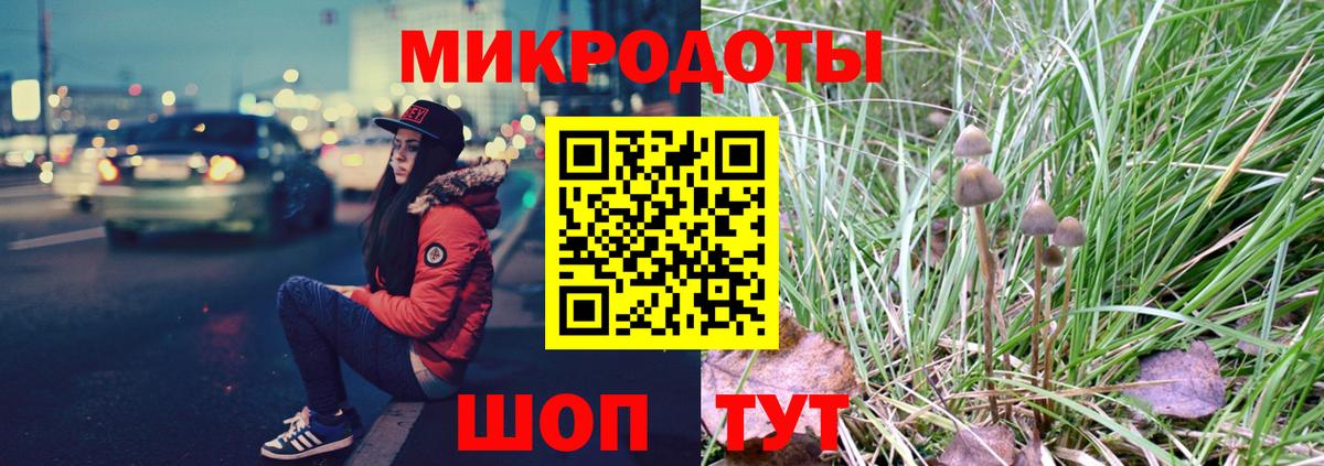 Псилоцибиновые грибы Psilocybine cubensis  Вход с VPN  Псилоцибиновые грибы мицелий  Выборг 